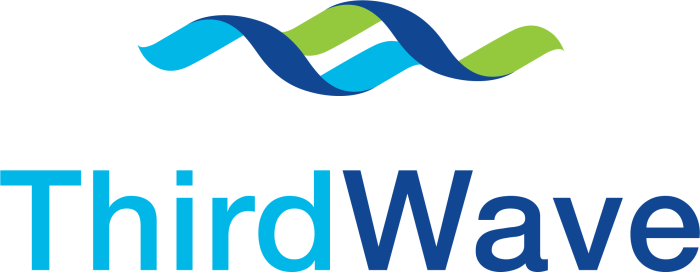 Third Wave Systems Logo